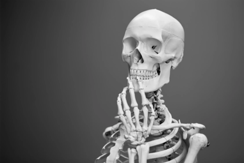 skeletalhealth